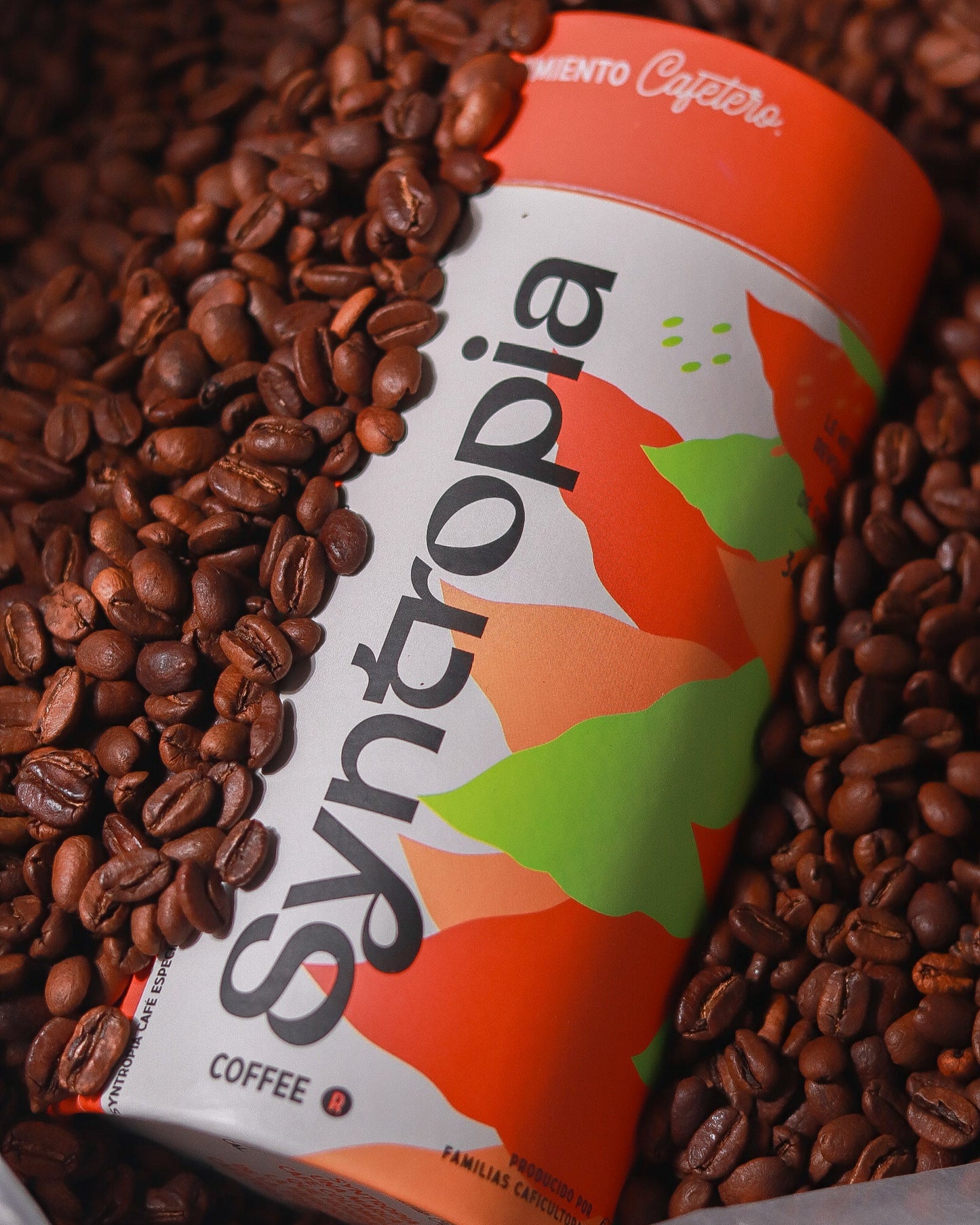 Blend Syntropía